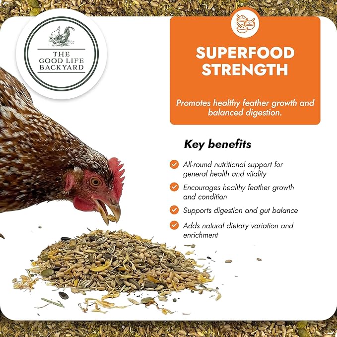 Good Life Backyard Superfood Strength for Chickens – General Wellbeing Nutrient Rich Poultry Supplement (2 lb Pouch) | Hatching Time