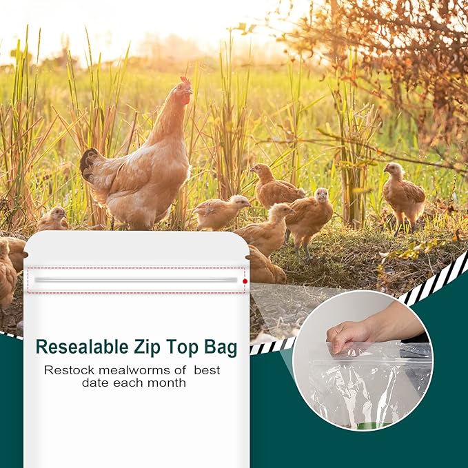 11LB Non-GMO Dried Mealworms, 100% Natural Large Size No Moisture, Mealworms for Chickens, Birds, Hedgehog, Hamster, Fish, Reptile, Turtles