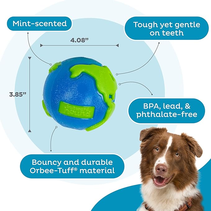 Outward Hound by Planet Dog Orbee-Tuff Planet Ball Blue/Green Treat-Dispensing Dog Toy, Large