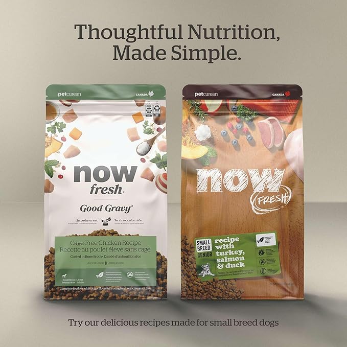 Now Fresh Small Breed Adult Dry Dog Food, Turkey, Salmon & Duck Recipe, Grain-Free, Chicken-Free, 22 lbs