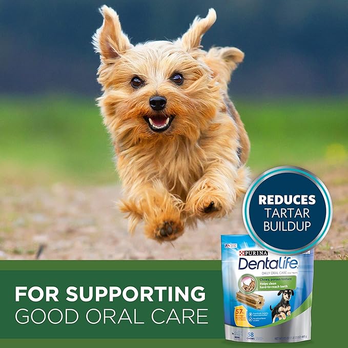 Purina Bundle Pack Small Breed Dog Food and Treats, ONE +Plus Lamb and Rice Formula with DentaLife Daily Oral Care