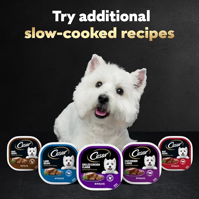 Cesar Classic Loaf in Sauce Adult Wet Dog Food Grilled Chicken Flavor, Wet Food for Dogs, 3.5 oz Easy Peel Trays, 24 Count (Pack of 2)