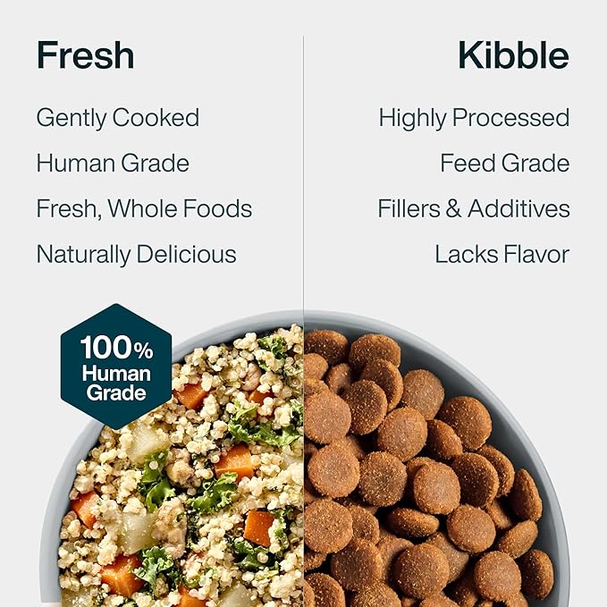 JustFoodForDogs Frozen Fresh Dog Food for Sensitive Skin & Allergies, Joint Health, Complete Meal or Human Grade Dog Food Topper, Joint & Skin Support, 18 oz (Pack of 21)