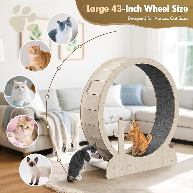 JungleA Large Cat Exercise Wheel 42.72 Inch - Spacious Cat Wheel with Detachable Teaser and Scratching Post for Indoor Cats, Featuring Safety Lock & Low Noise Design for Most Cats