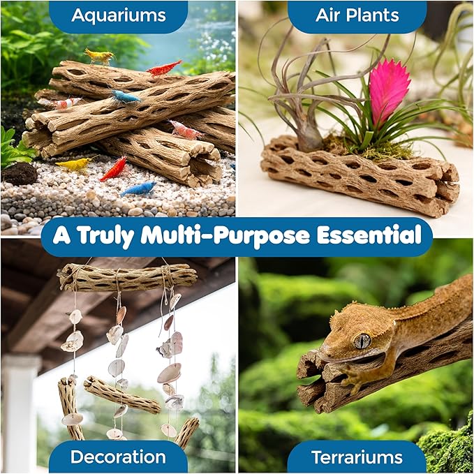 SunGrow Hermit Crab Woods, Climbing Logs, Chews, Keep Hermies Busy and Active, Long Dried Aquarium Décor Adds Raw Beauty