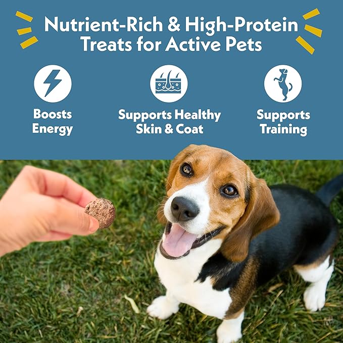 Fresh Is Best Beef & Veggie Morsels Freeze Dried Dog Treats – Raw Freeze Dried Dog Food for Cats & Canines – Training Treat in Resealable Zipper Bag – Grass-fed & Finished Beef Made in the USA