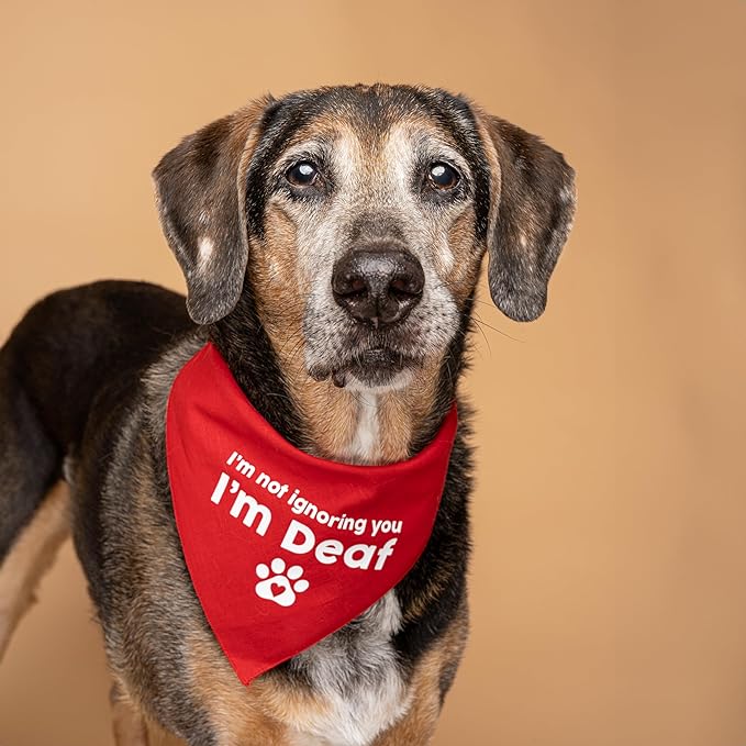 I'm Not Ignoring You I'm Deaf Dog Bandana | 100% Adjustable Cotton Triangle | Made in USA | Deaf | Impaired | Hearing Loss Accessory | Warning (Navy, XS 351)