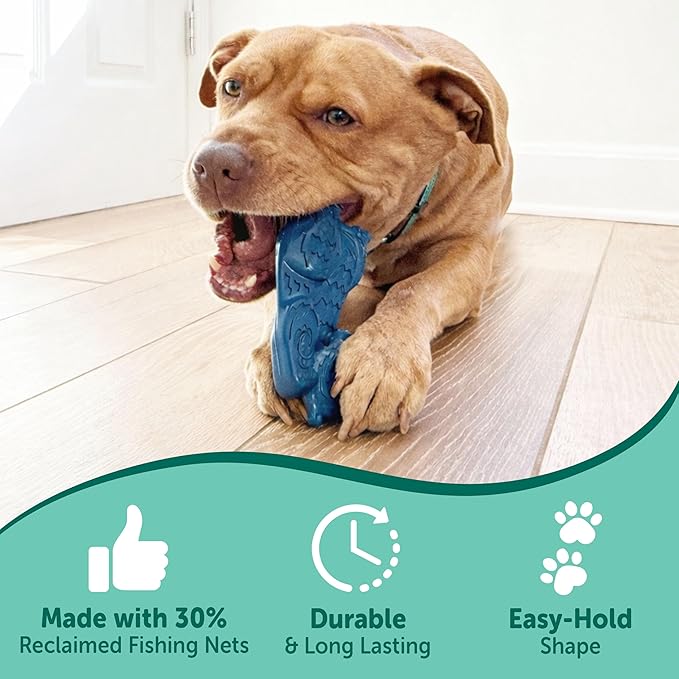 Nylabone Love Our Oceans Teddy Bear Power Chew Toy for Dogs, Recycled & Sustainable Dog Chew Bones, Made in USA, Beef Jerky Flavor, Large Dog Toys - Up to 50 lbs, 1 Count