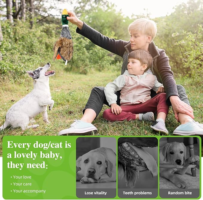 wangstar Squeaky Dog Toy for Puppy Dogs Toys to Keep Them Busy Mallard Duck Stuffed Dog Toys for Medium Small Dogs, 9" Wild Duck