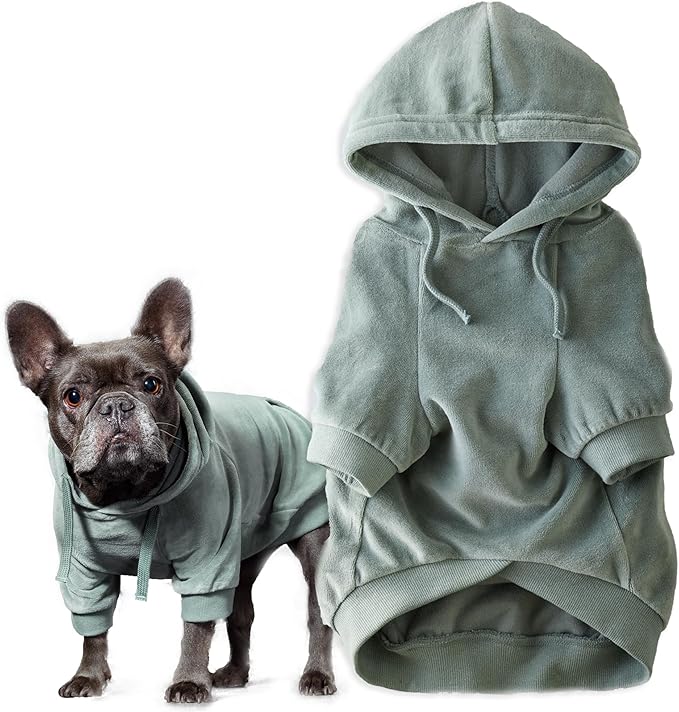 Pet Passion Cooper II Organic Cotton Velour Dog Hoodie Pet Coat for Small, Medium and Large Dogs, Sage, Large (40-60 lbs)