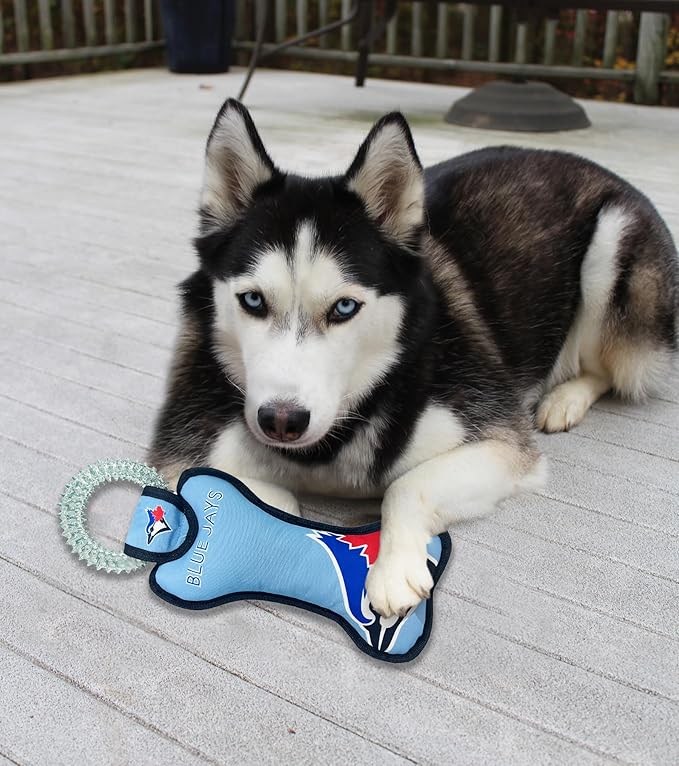 MLB Toronto Blue Jays Bone Shaped Dental Dog TUG Toy with Squeaker. Tough PET Toy for Healthy Fun, Teething, and Cleaning pet's Teeth and Gum.