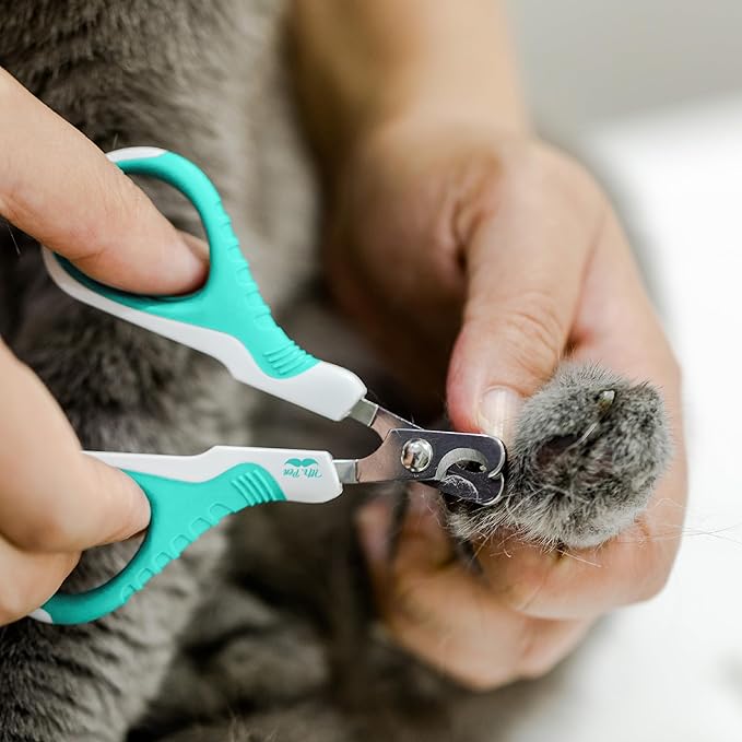 Mr. Pen- Cat Nail Clipper, Sky Blue Cat Nail Trimmer, Cat Nail Clippers, Cat Claw Clippers, Cat Clippers for Nails, Pet Nail Clippers, Kitten Nail Clipper, Small Dog Nail Clipper Cat Claw Trimmer