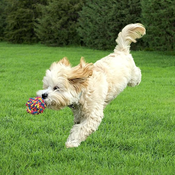 Otterly Pets Small Puppy Dog Rope Toys for Play Chew Teething and Boredom - for Small and Toy Dogs (6-Pack)