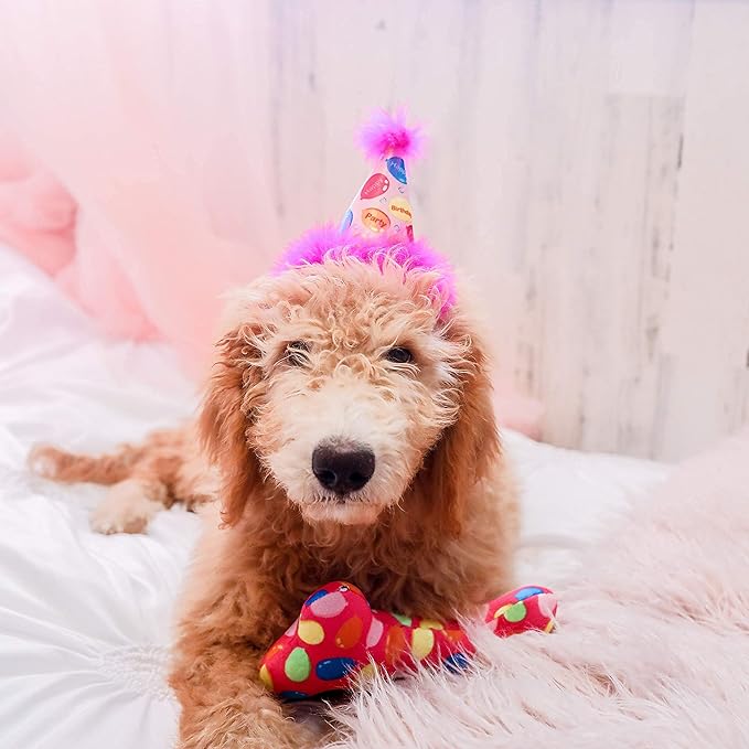 Huxley & Kent Funny Dog Toy w/Squeaker – Birthday Power Plush Squeaky Dog Toys for Small, Medium & Large Dogs – Soft Stuffed Animal for Indoor Play & Fetch - Party Time Blue Pink, Large
