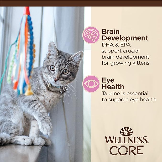 Wellness CORE Tiny Tasters Minced Kitten Wet Cat Food, Natural, Protein Rich, Grain Free, Chicken Recipe, 1.75 oz, Pack of 12 Pouches