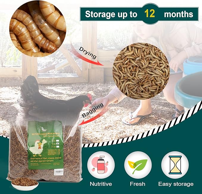10LBs Non-GMO Dried Mealworms,High-Protein Larvae Treats Feed Molting Supplement for Birds Hens Ducks etc,Large Bulk Meal Worms Birds Chicken Food
