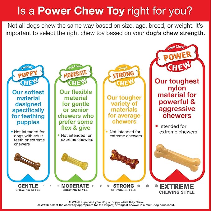 Nylabone 2 Pack of Allergen-Free Peanut Butter Flavor Comfort Hold Power Chew Bone, Giant, Dental Chew Dog Toy