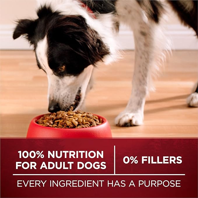 Purina One True Instinct Lean Muscle Support With Real Beef Natural With Added Vitamins, Minerals and Nutrients High Protein Dog Food - 27.5 lb. Bag