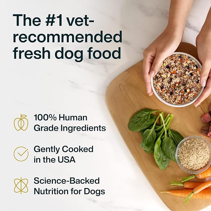 JustFoodForDogs Pantry Fresh Wet Dog Food, Complete Meal or Dog Food Topper, Lamb & Brown Rice Human Grade Dog Food Recipe - 12.5 oz (Pack of 12)