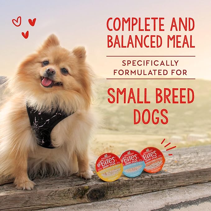 Stella & Chewy's Lil Bites Savory Stews for Small Breeds Chicken & Salmon Dinner in Broth, 2.7 oz. Cups (Pack of 12)