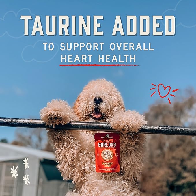 Stella & Chewy's Cage Free Chicken & Salmon Shredrs - Premium Dog Food Pouches - Freeze Dried Raw Nutrition in Broth - Perfect for Picky Eaters- 12 Pack, 2.8oz Each