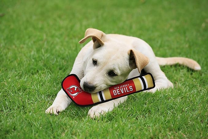 Pets First NHL New Jersey Devils Stick Toy for Dogs & Cats. Play Hockey with Your Pet with This Licensed Dog Tough Toy Reward! 16 inches long