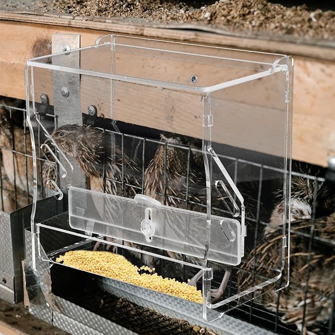Homoyoyo Automatic Chicken Feeder Small Feeding Bowl Multi-use Poultry Food Holder for Parrots and Cockatiels Suitable for Bird Cages