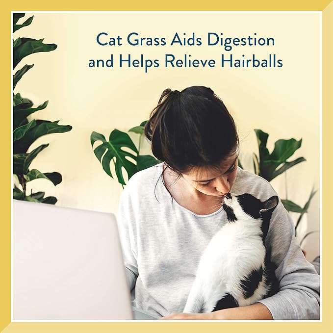 Pet Greens Soft-Chew Indoor Cat Treats Infused with Cat Grass Semi-Moist Roasted Chicken Treats, 3 Ounces Per Pack (3 Pack Roasted Chicken)