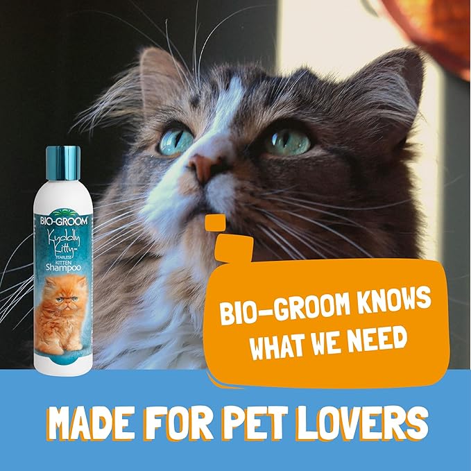 Bio-Groom Kuddly Kitty Shampoo - Tearless, Gentle Kitten Shampoo, Soap-Free, Cat Bathing Supplies, Quick Rinse, Cat & Kitten Grooming Supplies, Cruelty-Free, Made in USA - 8 fl oz 1-Pack