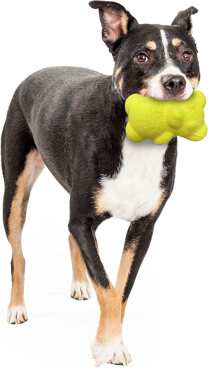 Nylabone Power Play Tennis Ball Teddy Bear Gripz Felt Rubber Fetch Toy, Squeaky Toys for Dogs, Medium (1 Count)