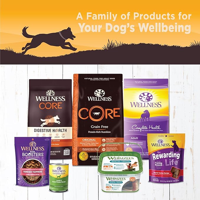 Wellness CORE 95% Adult Canned Wet Dog Food, Grain Free, Natural, Chicken and Broccoli Recipe, 12.5 oz, Pack of 12 Cans