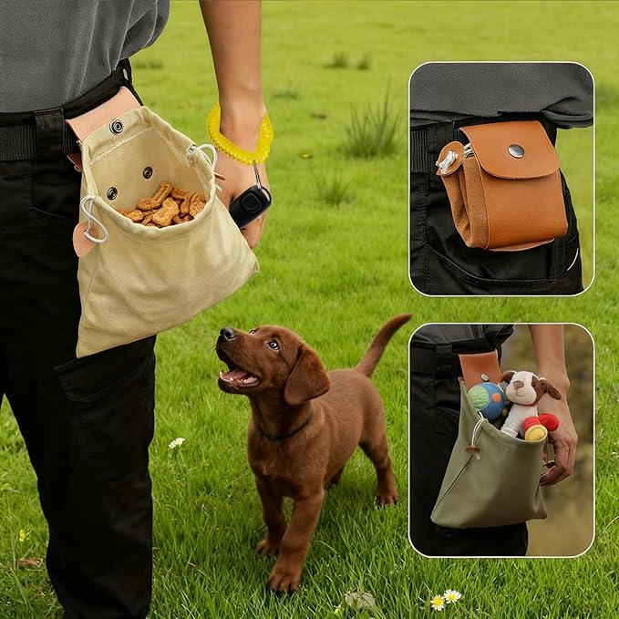 Dog Treat Pouch with Training Clicker & Whistle - Stylish & Portable Large-Capacity Foldable Pet Training Pouch with Wlastic Belt for Outdoor Use/Pet Training (Black)
