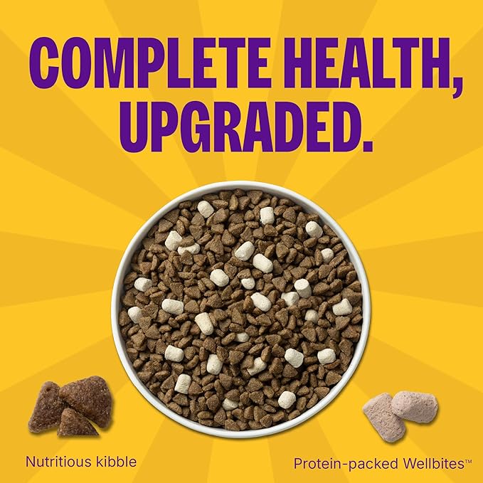 Wellness Complete Health+ Small Breed Adult Dry Dog Food with Freeze Dried Wellbites, Wholesome Grain Kibble+, Natural, Turkey and Oatmeal Recipe, 3.75 lb Bag