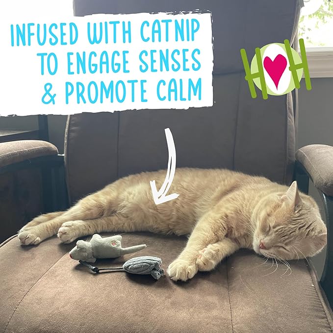 HuggleKats Cat Toys - Kitten Toys for Bored Indoor Cats, Perfect for Moving, Exercise, Biting & Chewing - Mightie Mice (3 Pack)