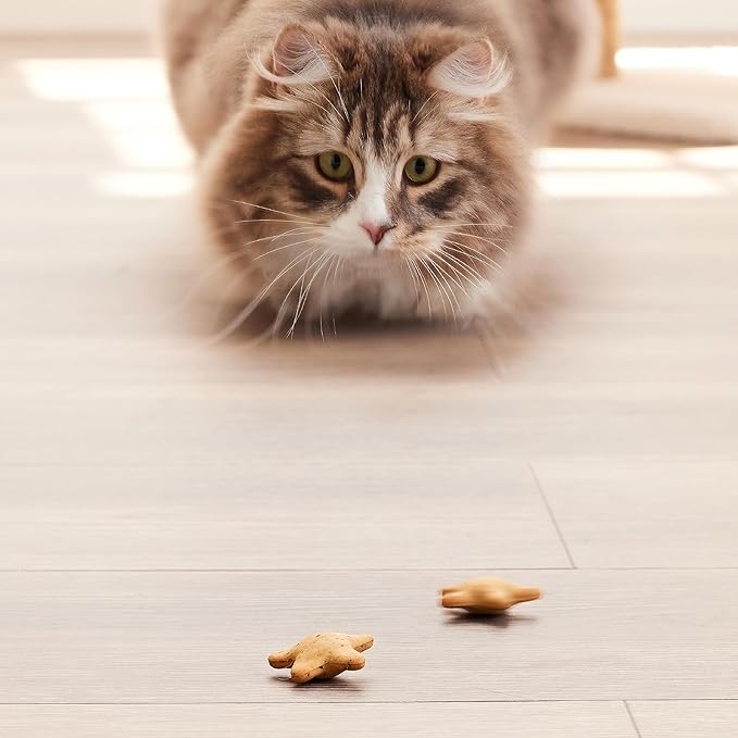 Good ‘n’ Tasty Spinning Stars Cat Treat, 3.2 Ounces, 2-in-1 Treat & Toy Made with Real Chicken, Chicken Liver & Catnip, Encourages Playfulness & Low Calorie