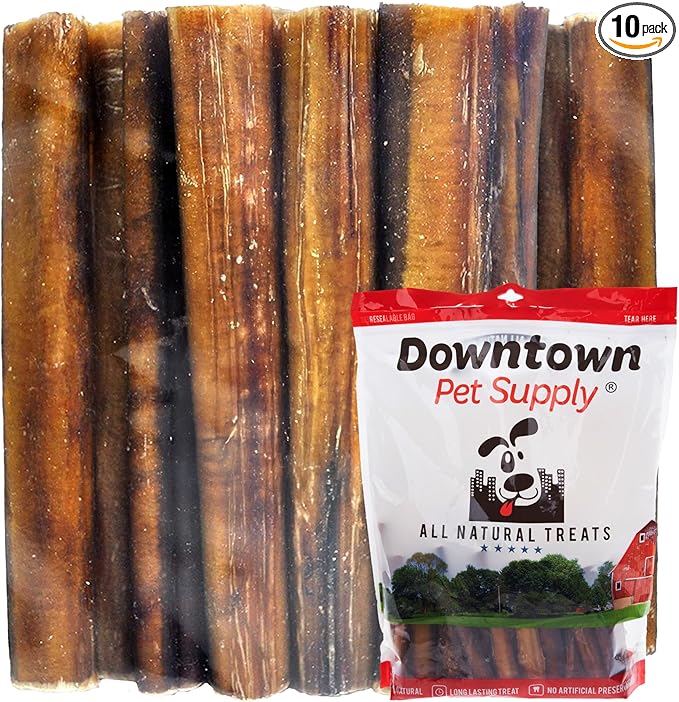Downtown Pet Supply Jumbo Bully Sticks for Dogs - Natural Beef Chews, Low-Odor & Rawhide-Free, Long Lasting Dog Treats for Aggressive Chewers - Healthy, Safe & Delicious Chews Dogs Love (12" 10 Pack)