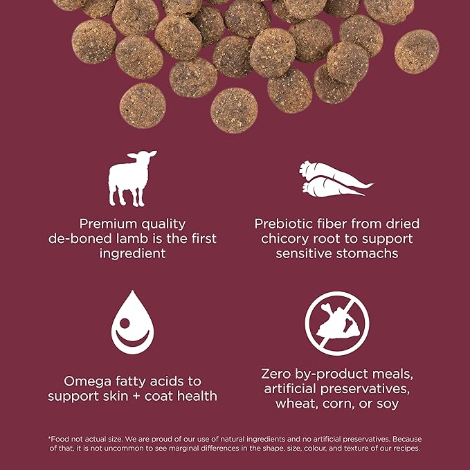 Go! Solutions Sensitivities Limited Ingredient Lamb Grain-Free Dry Dog Food, Chicken-Free Kibble Made by Experts for Sensitive Stomachs & Food Allergies, for Puppies, Adults, & Seniors, 22 lb Bag