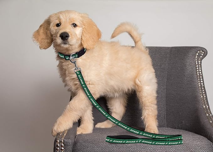 Pets First NHL Dallas Stars Leash for Dogs & Cats, Walk Cute & Stylish! The Ultimate Hockey Fan Leash!, Large (6 ft Long x 1 in Width) (STR-3031-LG)