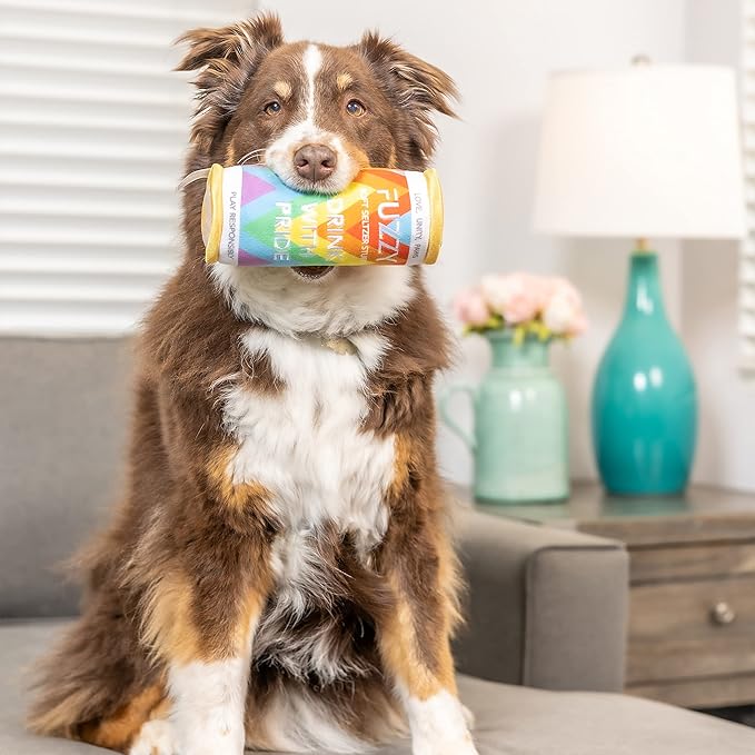 Huxley & Kent for Dogs | Fuzzy Soft Seltzer (Small) | Pride Funny Dog Toy | Power Plush Dog Toy with Squeaker | Dog Gift | Fun, Durable, and Safe | H&K Squeaky Dog Toy