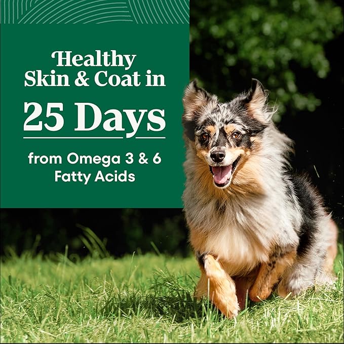 Nutro Natural Choice Dry Dog Food, Adult Dog Food Dry Lamb and Brown Rice Recipe, 12 lbs.