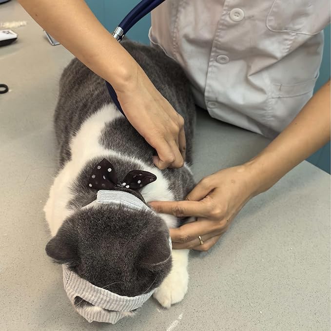 Cat Muzzle for Eye Drops, Adjustable Anti-Bite Cat Mouth Mask for Nail Clipping Eyes Open-S