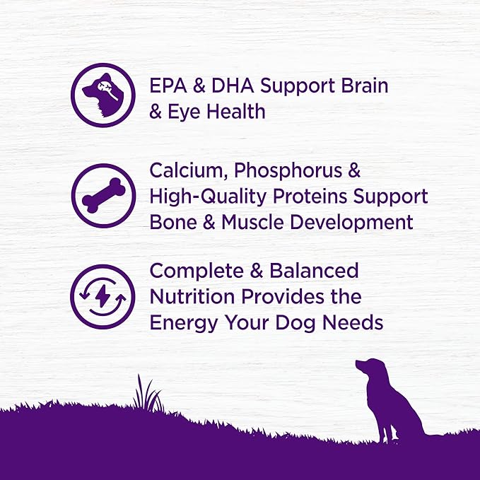 Wellness Complete Health Puppy Dry Dog Food, Wholesome Grain Kibble, Natural, Chicken, Oatmeal, and Salmon Recipe, 30 lb Bag