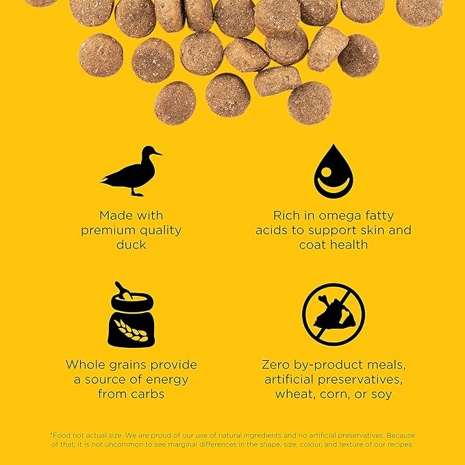 Go! Solutions Skin + Coat Care Duck Dry Dog Food with Grains, Chicken-Free, Healthy Kibble with Omega-3s & 6s for Soft, Shiny Fur, for Puppies, Adults, & Seniors, 3.5 lb Bag