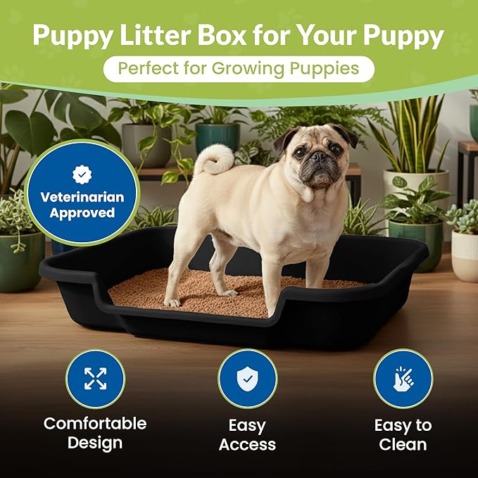 Dog Litter Box, Large Size, Blacksmithe Black, Durable & Pet Safe Puppy Litter Box, Indoor Open Top Entry Dog Litter Pan, Comfortable for Dogs, Great for Dogs up to 20 lbs