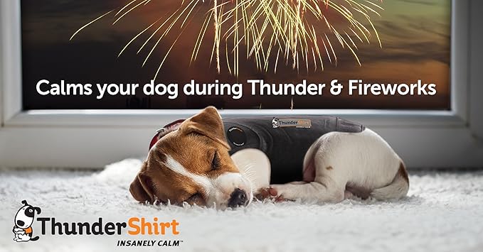 ThunderShirt for Dogs- Dog Anxiety Vest