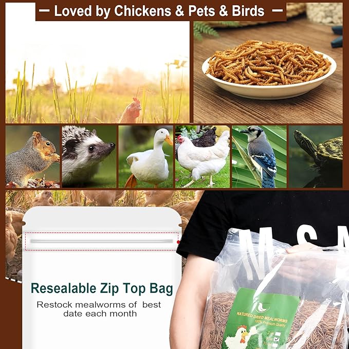 Non-GMO High-Protein Large Dried Mealworms for Chickens, Natural Grubs and Poultry Treats as Chicken Feed,Duck Food, Wild Birds Seed,Fish Food,Reptile Food,Amphibian Food(Mealworms-2LB)