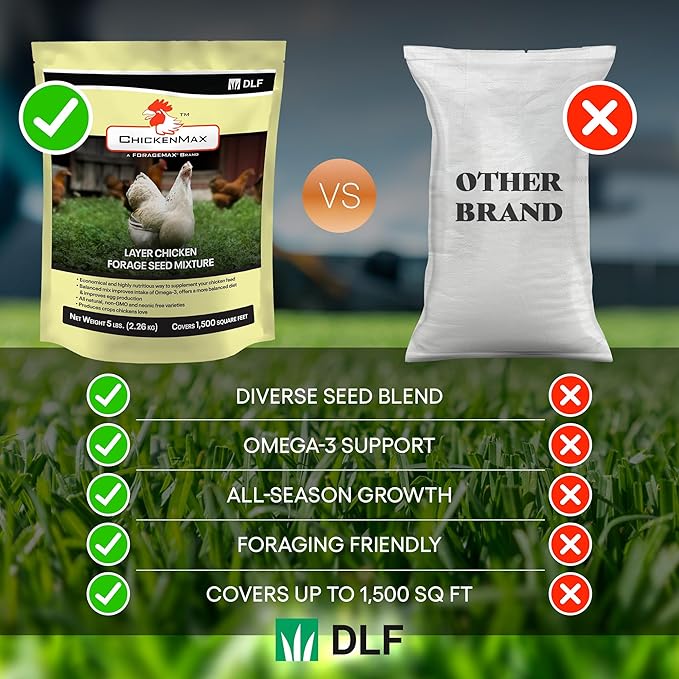 DLF Chicken Max – Forage Seed Mixture for Chickens, Poultry, and Farms – Layer Mix with Clover, Ryegrass, Buckwheat, and Flax – High-Protein Feed for Laying Hens, Chicks, and Coops – 5LB Bag