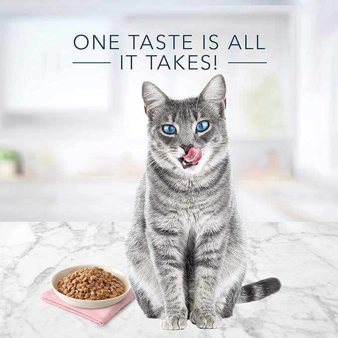 Blue Buffalo Tastefuls Natural Tender Morsels Wet Cat Food,Chicken Entrée 5.5-oz cans,(Pack of 48)