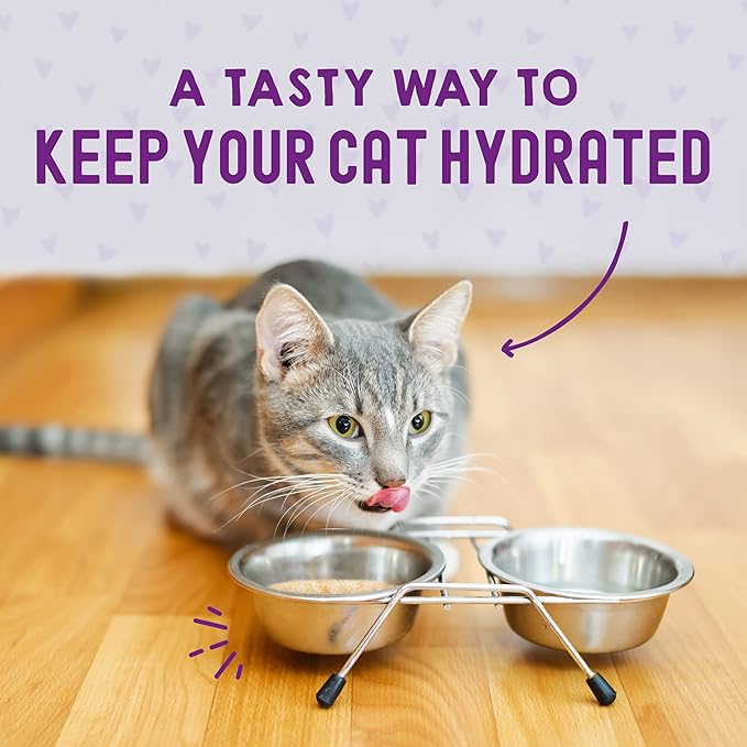Stella & Chewy's Carnivore Cravings Wet Cat Food - Premium Pouches - Grain Free, High Protein Chicken & Salmon - Perfect for Picky Eaters - Complete Meal or Topper (2.8 oz, 12 Pack)