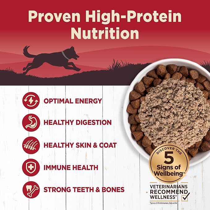 Wellness CORE 95% Adult Canned Wet Dog Food, Grain Free, Natural, Beef with Carrots Recipe, 12.5 oz, Pack of 12 Cans